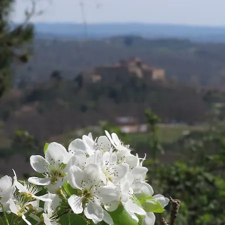 לינה וארוחת בוקר Borgo La Torre Alle Tolfe סיינה
