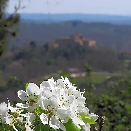 Borgo La Torre Alle Tolfe *
