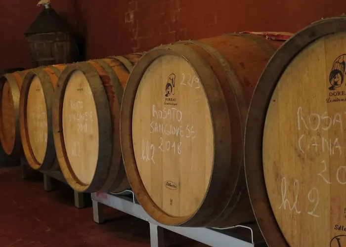 Borgo La Torre Alle Tolfe Alojamento de Acomodação e Pequeno-almoço Siena