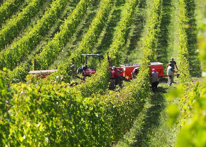 Oda ve Kahvaltı Borgo La Torre Alle Tolfe