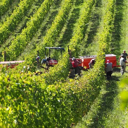 B&B Borgo La Torre Alle Tolfe