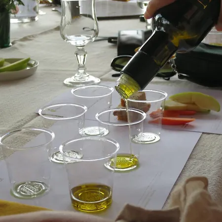 B&B Borgo La Torre Alle Tolfe