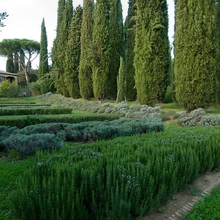 B&B Borgo La Torre Alle Tolfe *