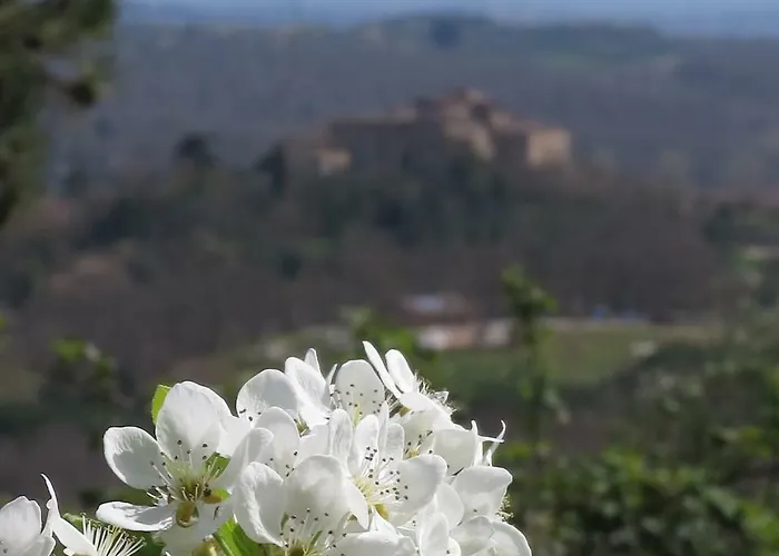 Bed & Breakfast Borgo La Torre Alle Tolfe Siena
