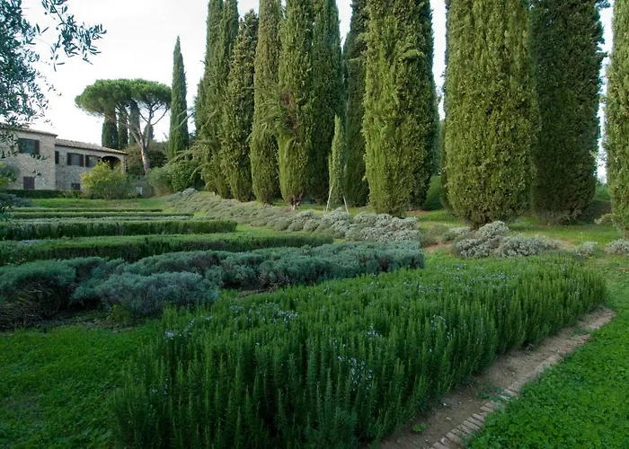 Bed & Breakfast Borgo La Torre Alle Tolfe *